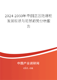 2024-2030年中國正壓防爆柜發展現狀與前景趨勢分析報告