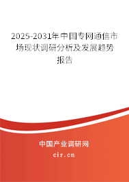 2025-2031年中國專網通信市場現狀調研分析及發展趨勢報告