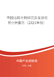 中國馬鞍市場研究及發展前景分析報告（2025年版）