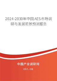 2023-2029年中國AES市場調研與發展前景預測報告