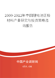 2009-2012年中國鋰電池正極材料產業研究與投資策略咨詢報告