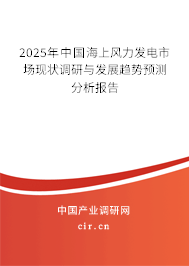 2025年中國海上風力發(fā)電市場現(xiàn)狀調研與發(fā)展趨勢預測分析報告