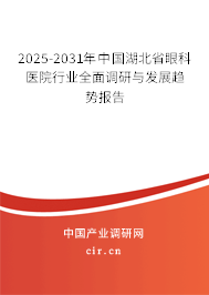 2025-2031年中國湖北省眼科醫院行業全面調研與發展趨勢報告