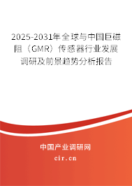 2025-2031年全球與中國巨磁阻（GMR）傳感器行業發展調研及前景趨勢分析報告