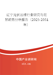 遼寧光伏運維行業(yè)研究與前景趨勢分析報告（2025-2031年）