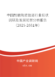 中國耐磨陶瓷管道行業現狀調研及發展前景分析報告（2025-2031年）