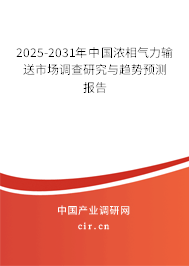 2025-2031年中國濃相氣力輸送市場調查研究與趨勢預測報告