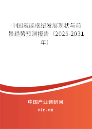 中國(guó)氫能樞紐發(fā)展現(xiàn)狀與前景趨勢(shì)預(yù)測(cè)報(bào)告（2025-2031年）