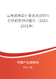 山東醬腌菜行業發展調研與前景趨勢預測報告（2025-2031年）