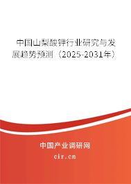 中國山梨酸鉀行業(yè)研究與發(fā)展趨勢預(yù)測（2025-2031年）