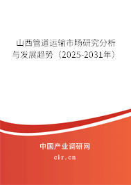 山西管道運輸市場研究分析與發展趨勢（2025-2031年）