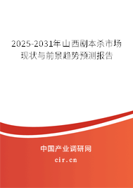 2025-2031年山西劇本殺市場現(xiàn)狀與前景趨勢預(yù)測報告