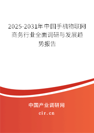 2025-2031年中國手機物聯網商務行業全面調研與發展趨勢報告