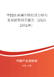 中國水合肼市場現狀分析與發展趨勢研究報告（2025-2031年）