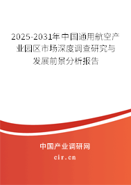 2025-2031年中國通用航空產業園區市場深度調查研究與發展前景分析報告