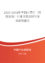 2025-2031年中國小蘇打（碳酸氫鈉）行業深度調研與發展趨勢報告