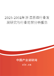 2025-2031年浙江原煤行業發展研究與行業前景分析報告