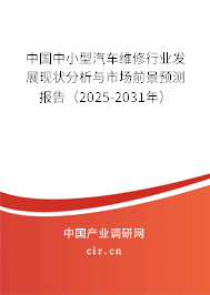 中國中小型汽車維修行業(yè)發(fā)展現(xiàn)狀分析與市場前景預測報告（2025-2031年）