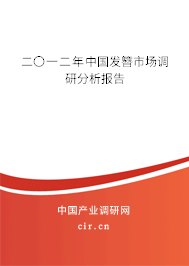 二〇一二年中國發簪市場調研分析報告