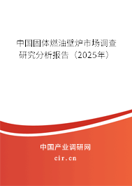 中國(guó)固體燃油壁爐市場(chǎng)調(diào)查研究分析報(bào)告（2025年）