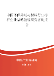 中國環保藥劑與材料行業標桿企業戰略管理研究咨詢報告