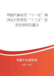 中國汽車租賃“十一五”期間運行形勢及“十二五”投資前景研究報告