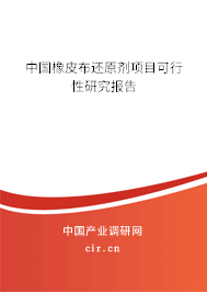 中國橡皮布還原劑項(xiàng)目可行性研究報(bào)告