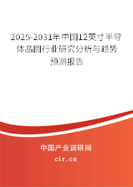 2025-2031年中國12英寸半導體晶圓行業研究分析與趨勢預測報告