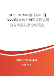 2022-2028年全球與中國18650鋰電池市場深度調查研究與發展前景分析報告