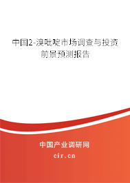 中國2-溴吡啶市場調查與投資前景預測報告