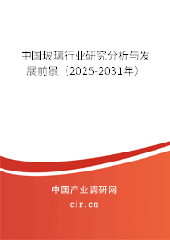 中國玻璃行業研究分析與發展前景（2025-2031年）