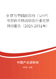 全球與中國超高純（UHP）零部件市場調(diào)研及行業(yè)前景預(yù)測報(bào)告（2025-2031年）