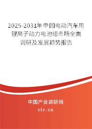 2025-2031年中國電動汽車用鋰離子動力電池組市場全面調研及發展趨勢報告