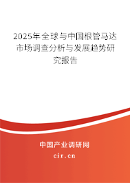2024年全球與中國根管馬達市場調查分析與發展趨勢研究報告