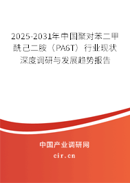 2025-2031年中國聚對苯二甲酰己二胺（PA6T）行業現狀深度調研與發展趨勢報告