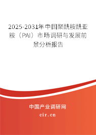 2025-2031年中國聚酰胺酰亞胺（PAI）市場調研與發展前景分析報告