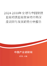 2024-2030年全球與中國聚酰亞胺和酰亞胺聚合物市場深度調研與發展趨勢分析報告