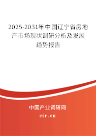 2025-2031年中國遼寧省房地產市場現狀調研分析及發展趨勢報告