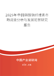 2025年中國磷酸鈉纖維素市場調查分析與發展前景研究報告