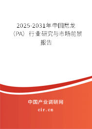 2025-2031年中國尼龍（PA）行業研究與市場前景報告
