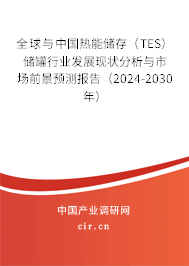 全球與中國熱能儲存（TES）儲罐行業發展現狀分析與市場前景預測報告（2024-2030年）