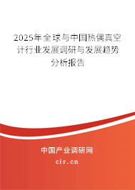 2025年全球與中國熱偶真空計行業發展調研與發展趨勢分析報告