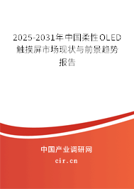 2025-2031年中國柔性O(shè)LED觸摸屏市場(chǎng)現(xiàn)狀與前景趨勢(shì)報(bào)告