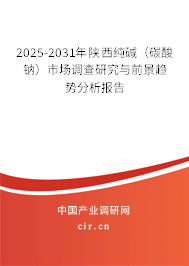 2025-2031年陜西純堿（碳酸鈉）市場調查研究與前景趨勢分析報告