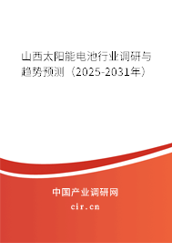 山西太陽能電池行業(yè)調(diào)研與趨勢預(yù)測（2025-2031年）