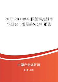2025-2031年中國塑料拖鞋市場研究與發展趨勢分析報告