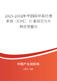 2025-2031年中國羧甲基纖維素鈉（CMC）行業研究與市場前景報告