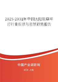 2025-2031年中國太陽能草坪燈行業現狀與前景趨勢報告