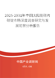 2025-2031年中國太陽能硅片硅錠市場深度調查研究與發展前景分析報告