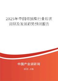 2025年中國碳捕集行業(yè)現(xiàn)狀調(diào)研及發(fā)展趨勢預(yù)測報告